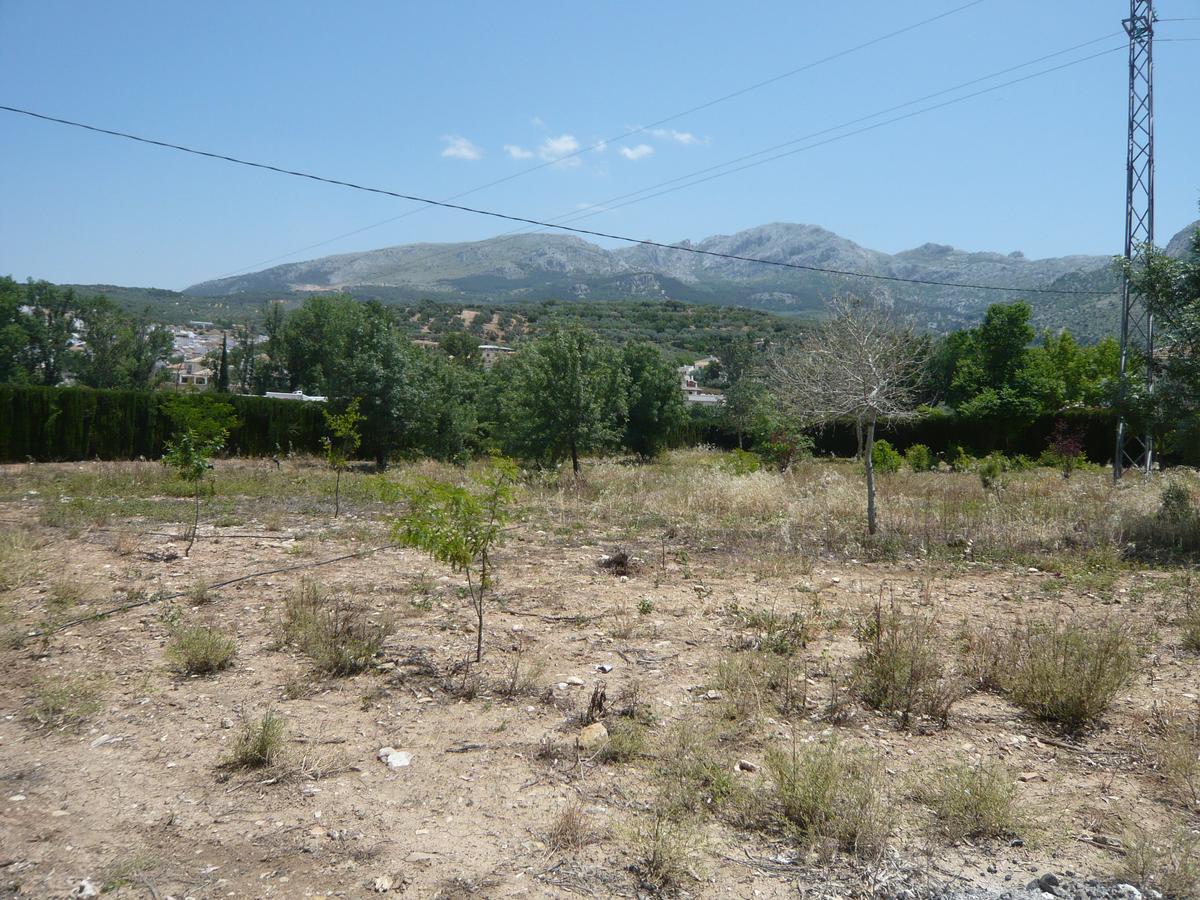 Venta Las Delicias Villanueva del Rosario Εξωτερικό φωτογραφία