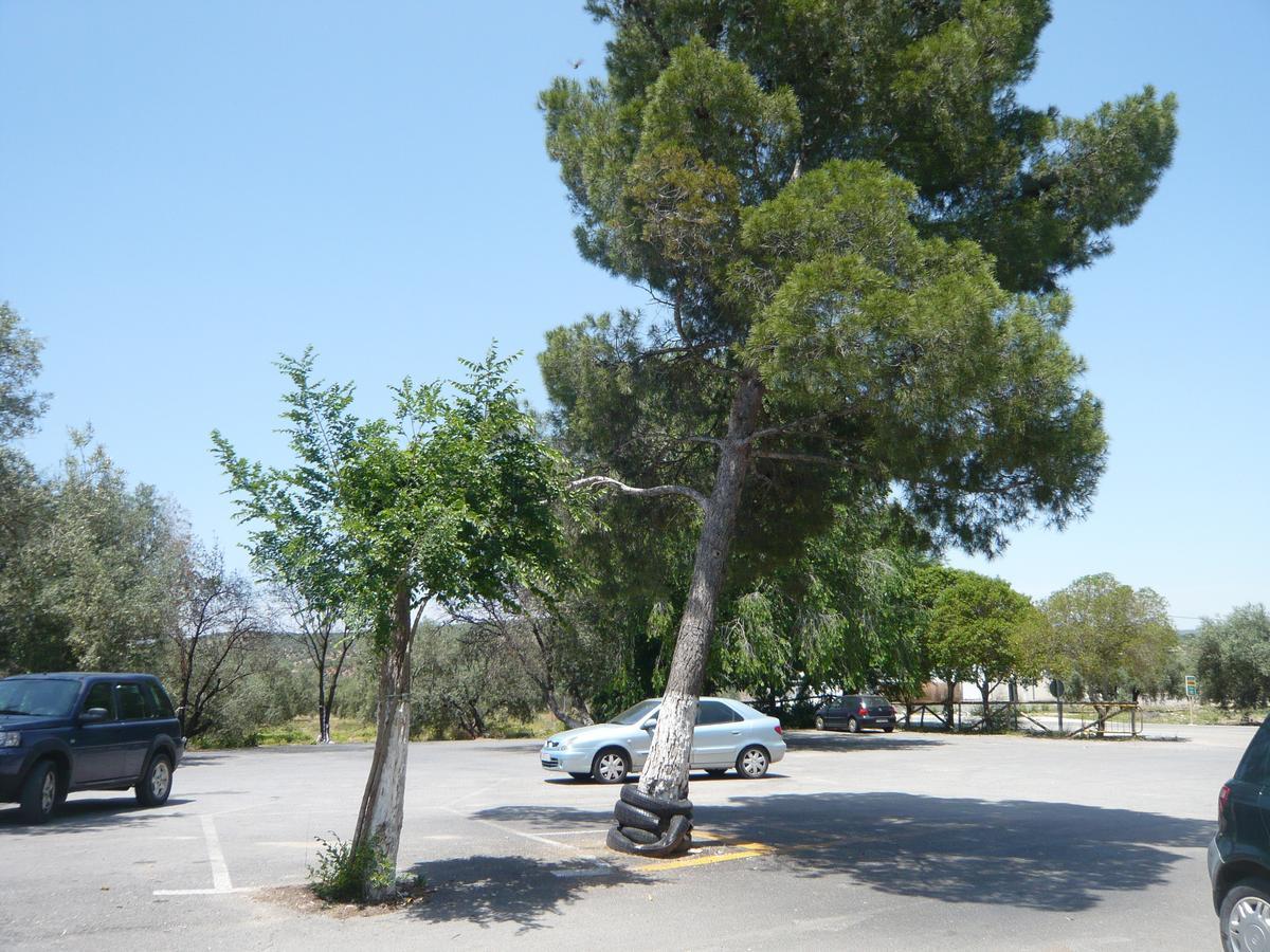 Venta Las Delicias Villanueva del Rosario Εξωτερικό φωτογραφία